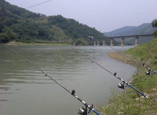 海竿怎么挂食(海杆包食钓法)