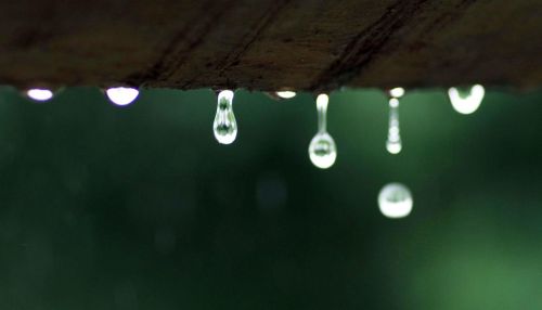 梧桐细雨表达什么(lux梧桐细雨)