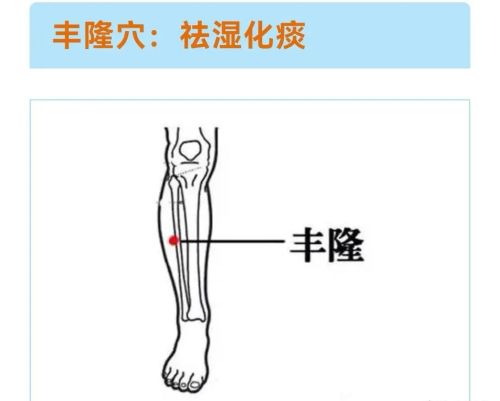 脚上主要按哪个位置(脚上哪些部位按摩有好处)