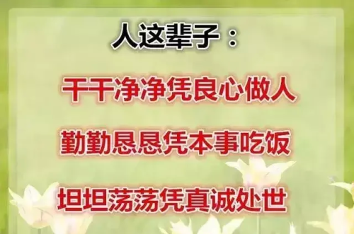 一辈子,凭良心做人,干干净净的句子(一辈子,凭良心做人,干干净净的说说)