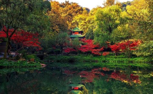 枫叶景点(枫叶观赏地)