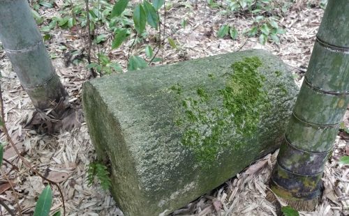 适合山区农村的产业项目(山区农村有哪些)