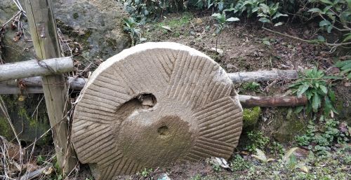 适合山区农村的产业项目(山区农村有哪些)