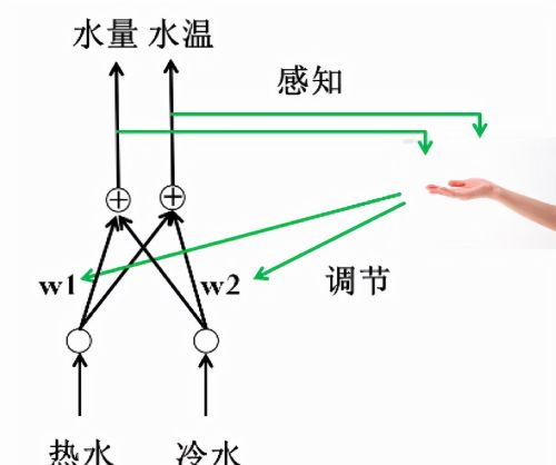 什么是BP算法?BP算法的处理过程分为哪几个阶段?(什么是bp算法)