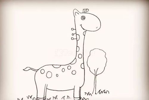 简笔画长颈鹿的画法 可爱(简笔画长颈鹿怎么画?)