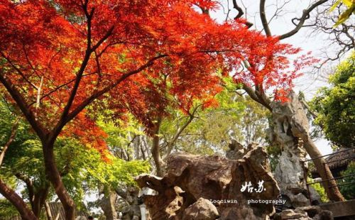 苏州10大必玩景点排名(苏州10大必玩景点推荐)