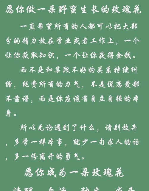 愿你做一朵野蛮生长的玫瑰花什么意思(愿你做一朵野蛮生长的玫瑰花是什么歌)