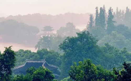 一花一净土一土一如来什么意思(一花一净土一土一如来是什么歌)