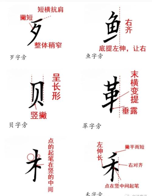 二年级下册生字偏旁部首笔画(二年级下生字偏旁部首)