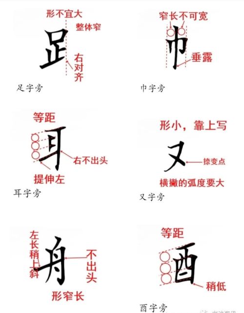 二年级下册生字偏旁部首笔画(二年级下生字偏旁部首)