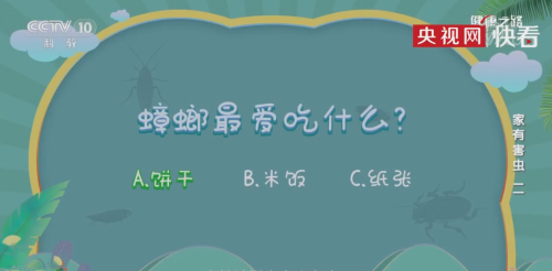 为何蟑螂杀不尽?!杀虫剂无法渗透到蟑螂卵内(为什么杀虫剂对蟑螂没用)