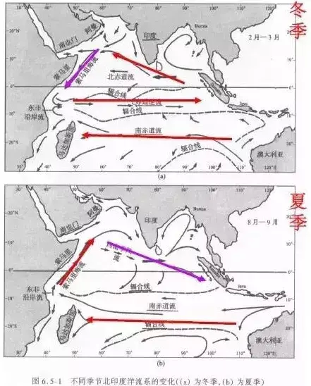 高中地理洋流讲解(地理高中洋流知识点)