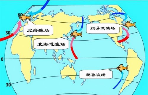 世界洋流简图标出四大渔场(4大洋流)