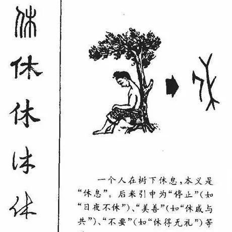 偏旁部首这几个字怎么写(偏旁部首的字是什么)