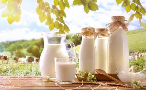 喝牛奶对肺结节有好处吗
