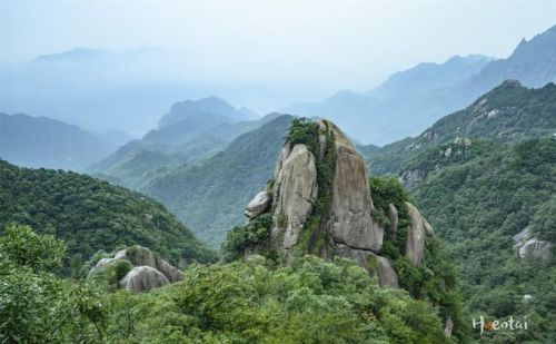 九华山是在哪里(九华山在哪边)