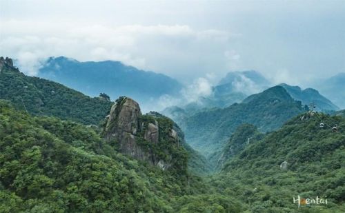 九华山是在哪里(九华山在哪边)