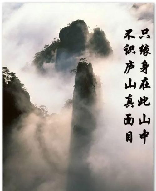 只缘身在此山中怎么解释(只缘身在此山中一句诗是什么)