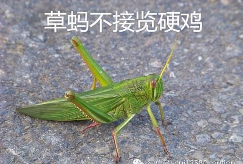 莆田话成语大全(莆田话词汇大全)