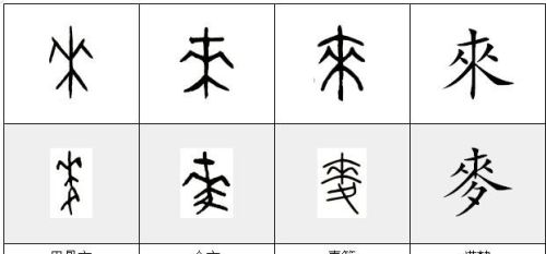 麦这个字(麦字是什么字)