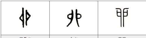 卯字由来(卯字的解释新华字典)