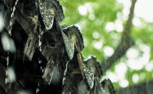 雨生百谷什么意思(雨生百谷上一句)