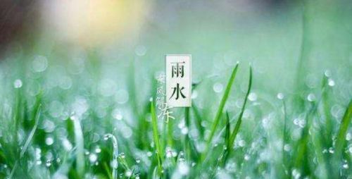 好雨知时节当春乃发生是什么诗(好雨知时节当春乃发生的含义是什么)