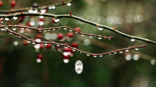 好雨知时节当春乃发生是什么诗(好雨知时节当春乃发生的含义是什么)