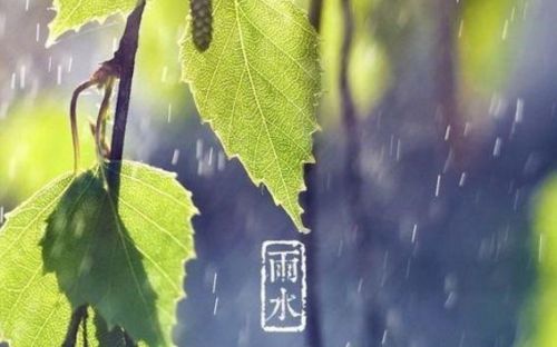 好雨知时节当春乃发生是什么诗(好雨知时节当春乃发生的含义是什么)