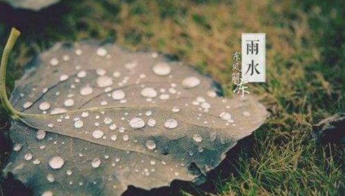 好雨知时节当春乃发生是什么诗(好雨知时节当春乃发生的含义是什么)