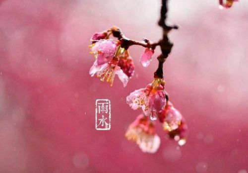 好雨知时节当春乃发生是什么诗(好雨知时节当春乃发生的含义是什么)