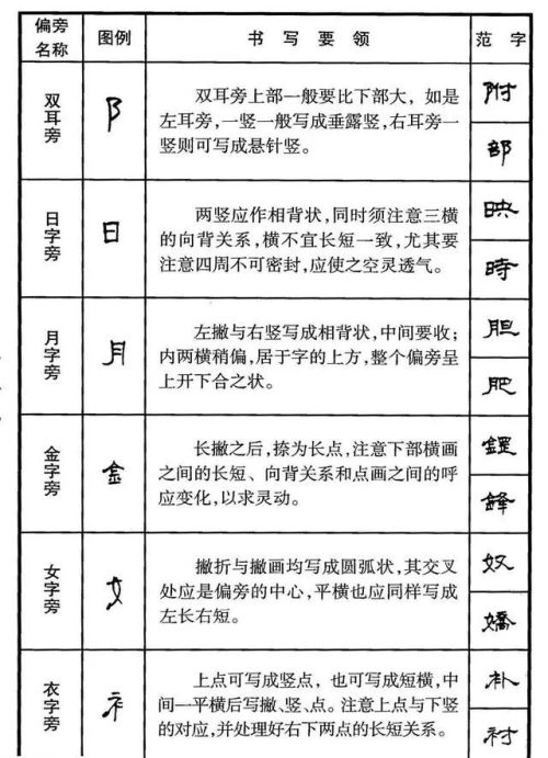 硬笔隶书偏旁大全(硬笔书法隶书基本笔画)