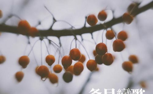 臻园的意思是什么(臻园啥意思)