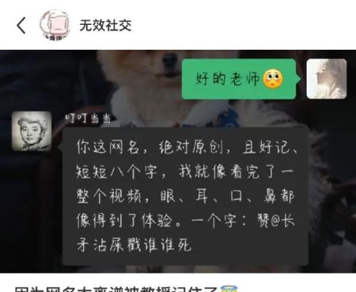 你这是开得快吗?是飞的低(你开的是什么)