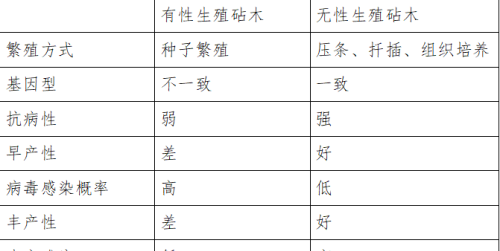 苹果移栽管理技术