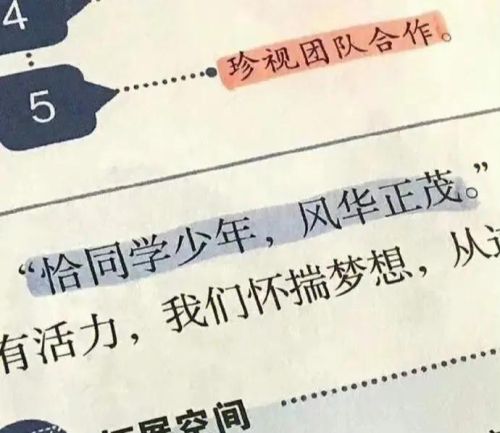 不被理解,为什么还要坚持呢(不被理解也要坚持)