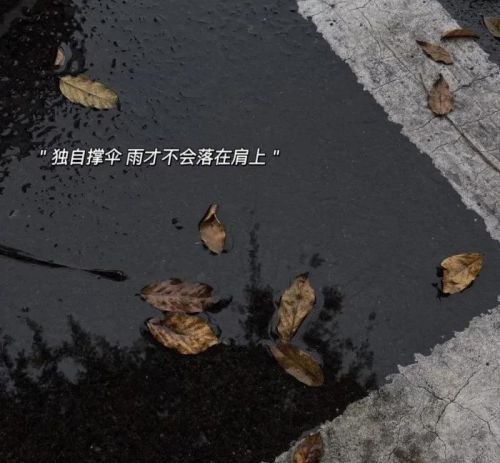 独自撑伞,雨才不会落到肩上什么意思(独自撑伞 雨才不会落在肩上)