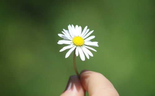 人生不怨不恨不强求随缘从容(不怨人后面是什么)