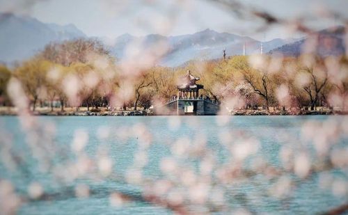 不到园林怎知春色如许什么意思(不到园林怎知春色如许出自哪里)