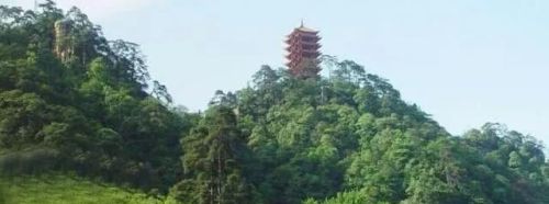 巴山夜雨涨秋池,君问归期未有期什么意思(巴山夜雨涨秋池 君问归期未有期)