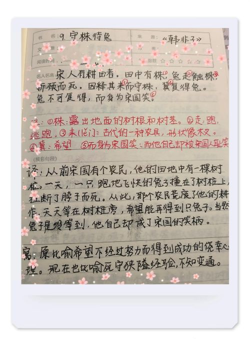 小学文言文守株待兔原文及翻译(小学文言文守株待兔教案)