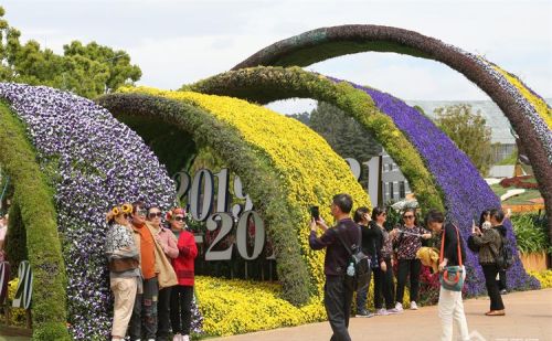 昆明世博园门票多少钱世博园花海(昆明世博园花海具体在哪里)