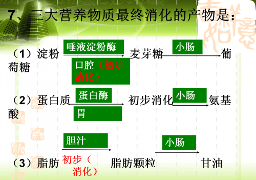 人体八大系统在初中哪本生物书里(生物人体八大系统的组成和功能)