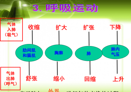 人体八大系统在初中哪本生物书里(生物人体八大系统的组成和功能)