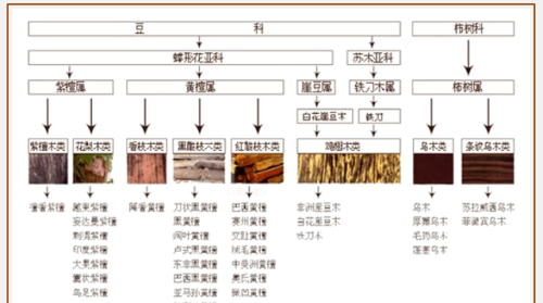 香枝木和花梨木区别(花梨木 酸枝木)