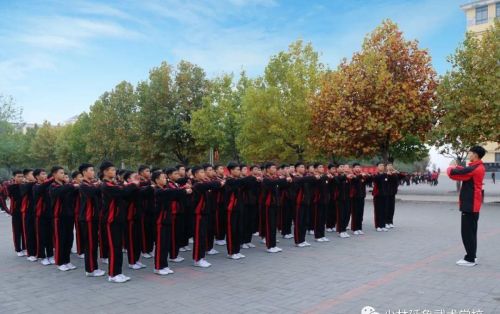 只要功夫深,铁杵磨成针原文(只要功夫深铁杵磨成针是谁说的话)