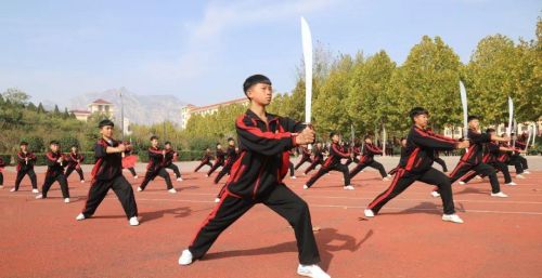 只要功夫深,铁杵磨成针原文(只要功夫深铁杵磨成针是谁说的话)