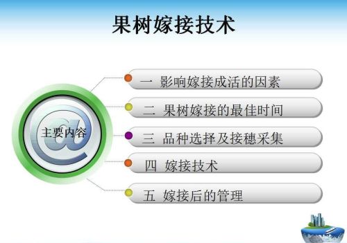 果树嫁接技术方法(果树嫁接的五种常用方法)