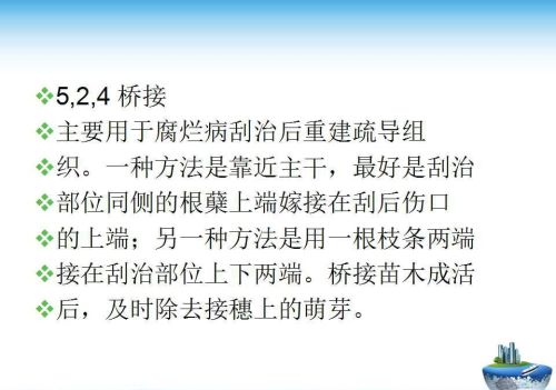 果树嫁接技术方法(果树嫁接的五种常用方法)