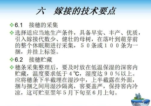 果树嫁接技术方法(果树嫁接的五种常用方法)